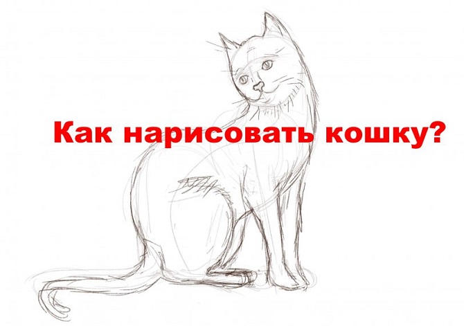 Включи мне рисовать хочу. Как нарисовать кошку. Кот сидит рисунок. Я хочу нарисовать кота. Я хочу рисовать кошку.